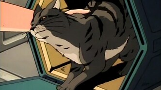 Кошка по имени Лили (1987)