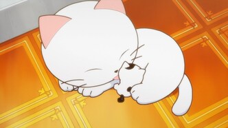 Тама: Откуда же он взялся? (2020)