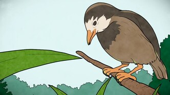 Невероятные факты эволюции (2018)