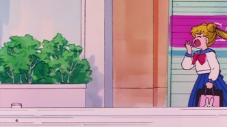 Красавица-воин Сейлор Мун (1992)