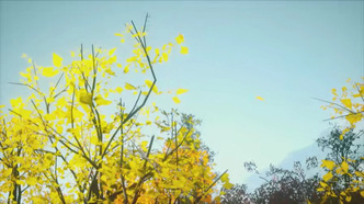 Великий правитель: 3D версия (2023)