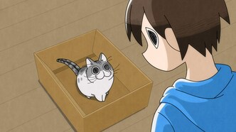 Вечера с котом (2022)