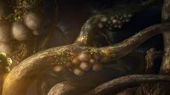 Кайна в великом снежном море (2023)