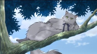 Граф и фея (2008)