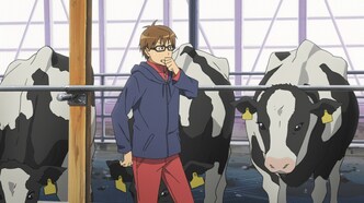 Серебряная ложка (2013)