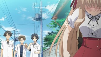 Нашествие бродячих кошек! (2010)