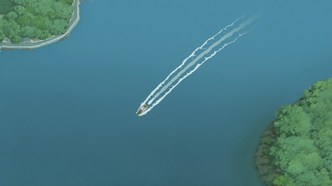 Письмо для Момо (2011)