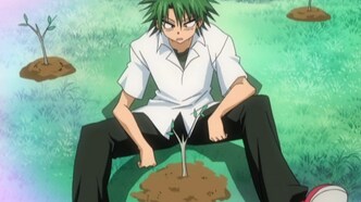 Закон Уэки (2005)