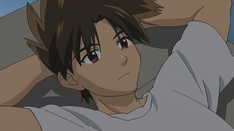 Этот ужасный и прекрасный мир (2004)