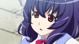 Адепт святого знака (2010)