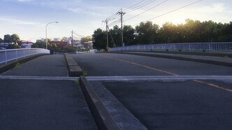 Проект отбора (2021)