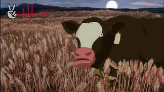 Ачи & Сипак: Убойный дуэт (2006)