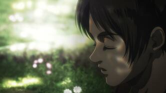 Вторжение Гигантов / Атака титанов (2013)