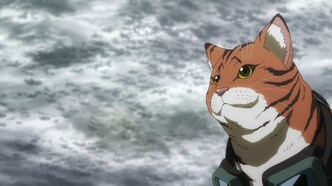 Ночь живых кошаков (2025)