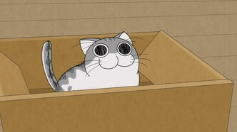 Вечера с котом (2022)