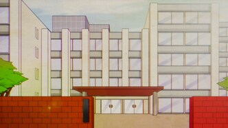 Коллекция ниндзя (2020)