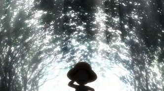 Ван-Пис. Эпизод Сабо: Узы трёх братьев, чудесное воссоединение и унаследованная воля (2015)