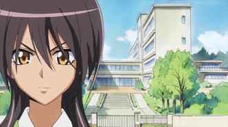 Президент — горничная! (2010)