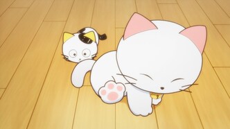 Тама: Откуда же он взялся? (2020)