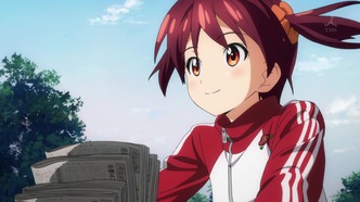 Ярко-красная операция (2013)