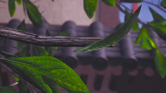 Величайший хранитель духов (2020)