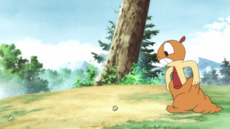 Покетун (2020)