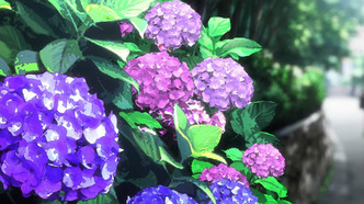 Художник раздвижной двери (2016)