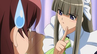 Горничный в маске (2008)