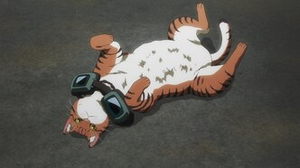 Ночь живых кошаков (2025)