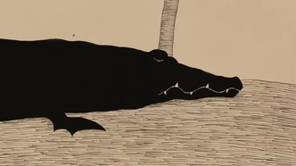 Старый крокодил (2005)