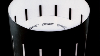 Лесная легенда (1987)