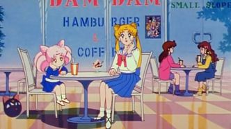 Красавица-воин Сейлор Мун Эр: Опасные цветы (1993)