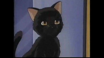 Кошачья фантазия (1991)