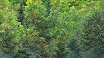 Жизнь Будори Гуско (2012)