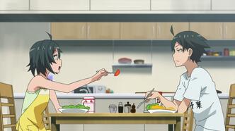 Как и ожидалось, моя школьная романтическая жизнь не удалась OVA (2013)