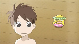 Бородатый цыпа (2009)