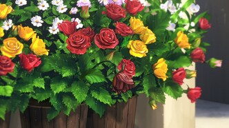 Лазурные огни (2020)