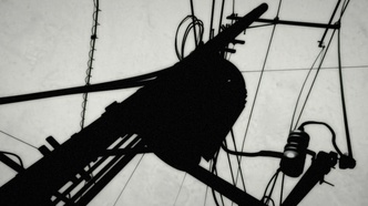 Врата Штейна (2011)