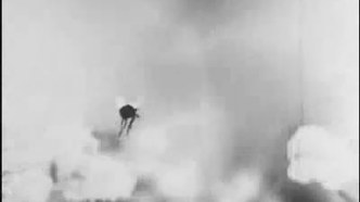 Паук и тюльпан (1943)