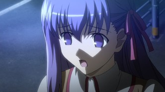 Судьба: Ночь схватки. Клинков бесконечный край (2010)