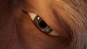 Нефритовая династия (2022)