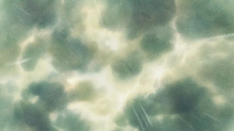 Расцвет (2012)