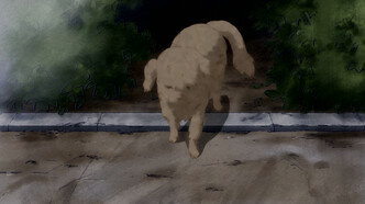 Куколка (2014)