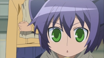 Дневник сумасшедшей семейки (2008)