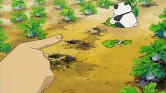 Братья Нэрима Дайкон (2006)