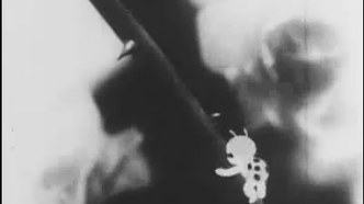 Паук и тюльпан (1943)