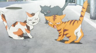 Боевой дворецкий Хаятэ! Милашки (2013)