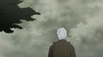 Мастер Муси: Тень, пожирающая солнце (2014)