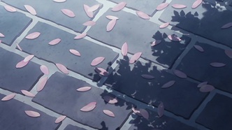 Жгучий взор Шаны (2005)