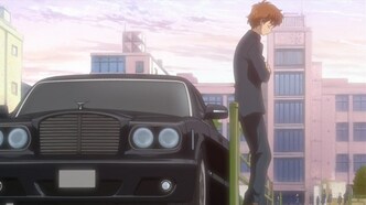 Цветущая юность (2009)